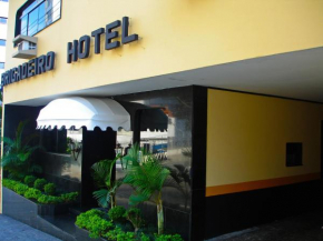 Отель Hotel Brigadeiro  Сан-Паулу